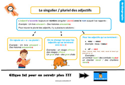 Le singulier / pluriel des adjectifs - Cours, Leçon, trace écrite : 2eme Primaire - PDF gratuit à imprimer