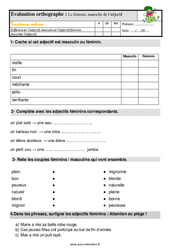 Le féminin des adjectifs - Étude de la langue - Examen Evaluation avec les corrigés : 2eme Primaire - PDF à imprimer