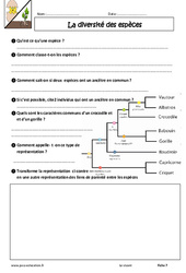 La diversité des espèces - Examen Evaluation avec les corrections : 6eme Primaire - PDF à imprimer