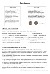 Vie des gaulois - Exercices - Antiquité - Fiches Document, questionnaire et correction : 3eme Primaire - PDF à imprimer