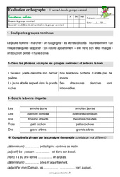 Accord dans le groupe nominal - Étude de la langue - Examen Evaluation avec les corrigés : 2eme Primaire - PDF à imprimer
