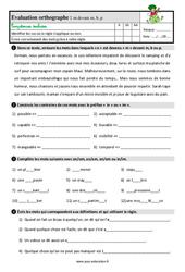 La lettre m devant m, b, p - Étude de la langue - Examen Evaluation avec les corrigés : 3eme Primaire - PDF à imprimer