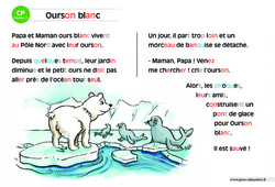Ourson blanc - Lecture compréhension - Histoire illustrée - Niveau 2 : 1ere Primaire