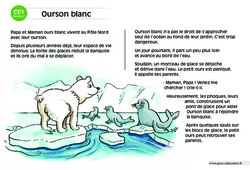 Ourson blanc - Lecture compréhension - Histoire illustrée - Niveau 2 : 2eme Primaire