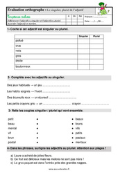 Le singulier, pluriel de l’adjectif - Étude de la langue - Examen Evaluation avec la correction  : 2eme Primaire - PDF à imprimer