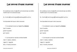 Lettres finales muettes - Cours, Leçon : 3eme Primaire - PDF gratuit à imprimer