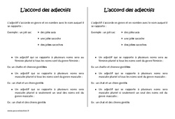 Pluriel des adjectifs - Cours, Leçon : 4eme Primaire - PDF gratuit à imprimer