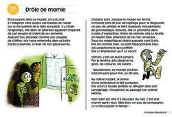 Drôle de momie - Lecture compréhension - Histoire illustrée - Niveau 3 : 2eme Primaire - PDF à imprimer