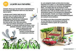 Le jardin aux merveilles - Lecture compréhension - Histoire illustrée - Niveau 3 : 2eme Primaire - PDF à imprimer