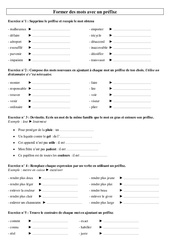 Former des mots avec un préfixe - Exercices - Vocabulaire : 3eme Primaire - PDF à imprimer