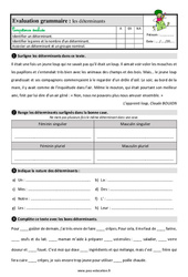 Les déterminants - Étude de la langue - Examen Evaluation avec la correction : 3eme Primaire - PDF à imprimer