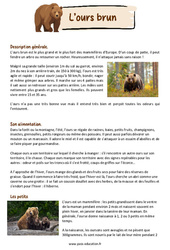 L'ours brun - Textes informatifs / Documentaires : 3eme Primaire - PDF à imprimer