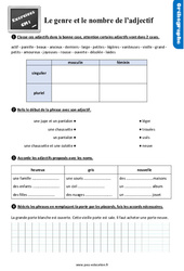 Le genre et le nombre de l’adjectif - Exercices, révisions : 4eme Primaire - PDF à imprimer