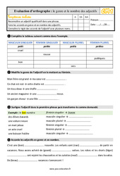 Le genre et le nombre de l’adjectif - Évaluation, bilan : 4eme Primaire - PDF à imprimer
