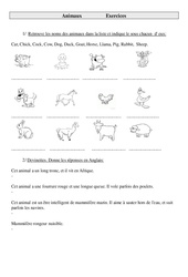Animaux - Cat, Chick, Cock, Cow, Dog, Duck, Goat, Horse, Llama, Pig, Rabbit,  Sheep. - Exercices - Anglais : 3eme, 4eme, 5eme Primaire - PDF à imprimer