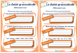Déterminant et nom - Rituels - La classe grammaticale : 4eme, 5eme Primaire - PDF à imprimer