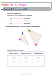 Triangles semblables - Révisions - Exercices avec correction : 2eme Secondaire