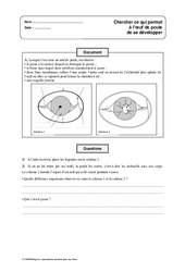 Développement de l'oeuf de poule - Exercices - Sciences : 4eme, 5eme Primaire - PDF à imprimer