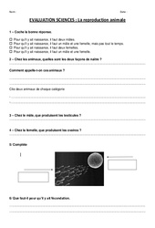 Reproduction animale - Examen Evaluation : 4eme, 5eme Primaire - PDF à imprimer