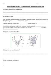 Reprodution sexuée des végétaux - Examen Evaluation : 3eme, 4eme Primaire - PDF à imprimer