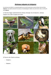Animaux ovipares et vivipares - Exercices - Sciences : 4eme, 5eme Primaire - PDF à imprimer