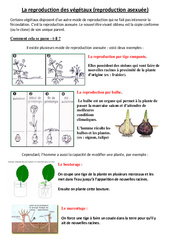 Reproduction des végétaux (asexuée) - Exercices - Sciences : 3eme, 4eme Primaire - PDF à imprimer