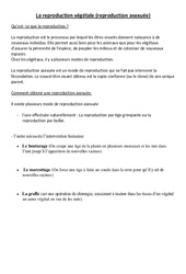 Reproduction végétale asexuée - Cours, Leçon - Sciences : 3eme, 4eme Primaire - PDF gratuit à imprimer
