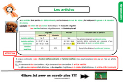 Les articles - Cours, Leçon, trace écrite : 5eme Primaire <small style='color:inherit;'>(téléchargement gratuit)</small>