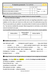 Les articles - Évaluation, bilan avec la correction : 5eme Primaire - PDF à imprimer