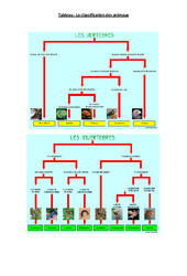 Classification des animaux - Cours, Leçon - Sciences : Primaire - Cycle Fondamental - PDF gratuit à imprimer