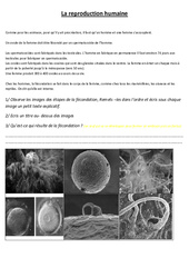 Reproduction humaine - Exercices - Sciences : 5eme Primaire - PDF à imprimer