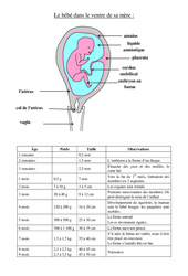 Schéma du foetus dans le ventre - Cours, Leçon - Sciences : 5eme Primaire - PDF gratuit à imprimer