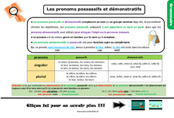 Les pronoms possessifs et démonstratifs - Cours, Leçon, trace écrite : 5eme Primaire <small style='color:inherit;'>(téléchargement gratuit)</small>
