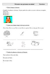 Présenter une personne, un animal en anglais : 3eme, 4eme, 5eme Primaire - PDF à imprimer