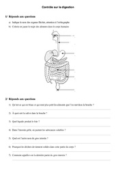 Digestion - Examen Evaluation : 3eme, 4eme Primaire - PDF à imprimer