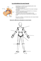 Articulations du corps humain - Exercices - Sciences : 3eme, 4eme Primaire - PDF à imprimer