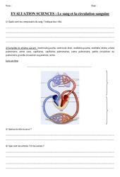 Le sang et la circulation sanguine - Examen Evaluation : 5eme Primaire - PDF à imprimer