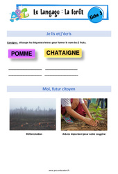 La forêt - Langage - Expression orale - EMC : 2eme, 3eme Maternelle - Cycle Fondamental - PDF à imprimer