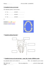Dents - Examen Evaluation : 3eme Primaire - PDF à imprimer