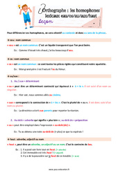Les homophones lexicaux (eau/os/au/aux/haut) - Préparation aux évaluations : 4eme Primaire - PDF à imprimer