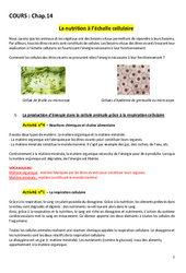 La nutrition à l’échelle cellulaire - Séquence complète : 2eme Secondaire - PDF à imprimer