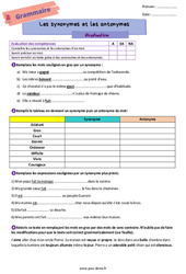 Les synonymes et les antonymes - Examen Evaluation de vocabulaire pour la  : 6eme Primaire - PDF à imprimer