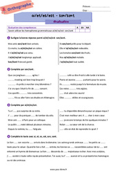 Homophones grammaticaux (ai/et/es/est - son/sont) - Examen Evaluation d'orthographe pour la  : 6eme Primaire