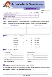 Le féminin des noms - Évaluation d'orthographe : 3eme Primaire - PDF à imprimer