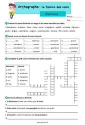 Le féminin des noms - Exercices d'orthographe : 3eme Primaire - PDF à imprimer