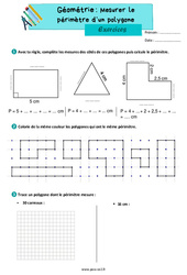 Mesurer le périmètre d’un polygone - Exercices de géométrie : 3eme Primaire - PDF à imprimer