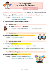 Le pluriel des adjectifs - Cours, Leçon d'orthographe : 3eme Primaire <small style='color:inherit;'>(téléchargement gratuit)</small>