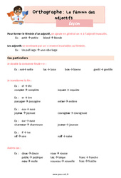 Le féminin des adjectifs - Cours, Leçon d'orthographe : 4eme Primaire - PDF gratuit à imprimer