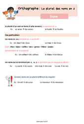 Le pluriel des noms en s - Cours, Leçon d'orthographe : 4eme Primaire - PDF gratuit à imprimer