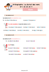 Le pluriel des noms en al et ail - Cours, Leçon d'orthographe : 4eme Primaire - PDF gratuit à imprimer